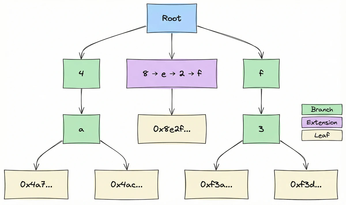 A hexary trie where hashed addresses become paths: the root branches on hex digits, and following the digits of a hashed address leads to the account data at the leaves. An extension node compresses a chain of single-child branches into one node (the Patricia optimization).