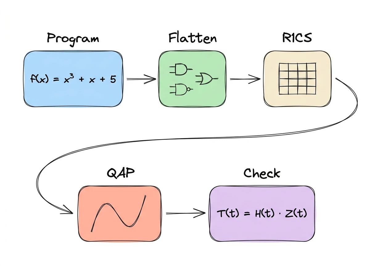 Pipeline from program to polynomial divisibility check: Program, Flatten, R1CS, QAP, Check